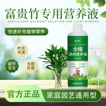 家庭园艺水培富贵竹营养液防黄叶促生根专用肥室内盆栽植物花卉