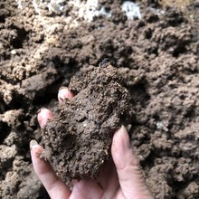 �ЙC�ʷ����C �������������������������C �ߝ񵰰�ɣ��{�C