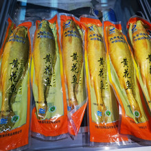 椿玲优鲜整箱大黄鱼批发商用冷冻黄花鱼新品海鲜锁鲜福建鱼头
