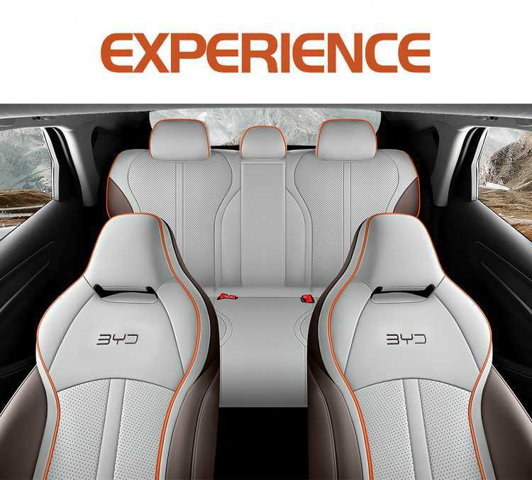 Special Byd Destroyer 05 Seat Cover 2024 Honor Edition 25 Four Seasons All-Inclusive Car Seat Cushion 23 Seat Cover