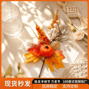 ���R�d��������Ϲϗ��~��ƿ�������滨ˇ�ж����S�չ��b����l