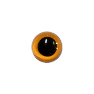 �羳�ɫ���lˮ���۾����֬�����۾���������A��ë�q���DIY���