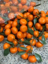 ˮ��ģ�ͽ���ɳ�ǽۼ��������ϾƵ�[�O��۸̽��b��Ĕz����