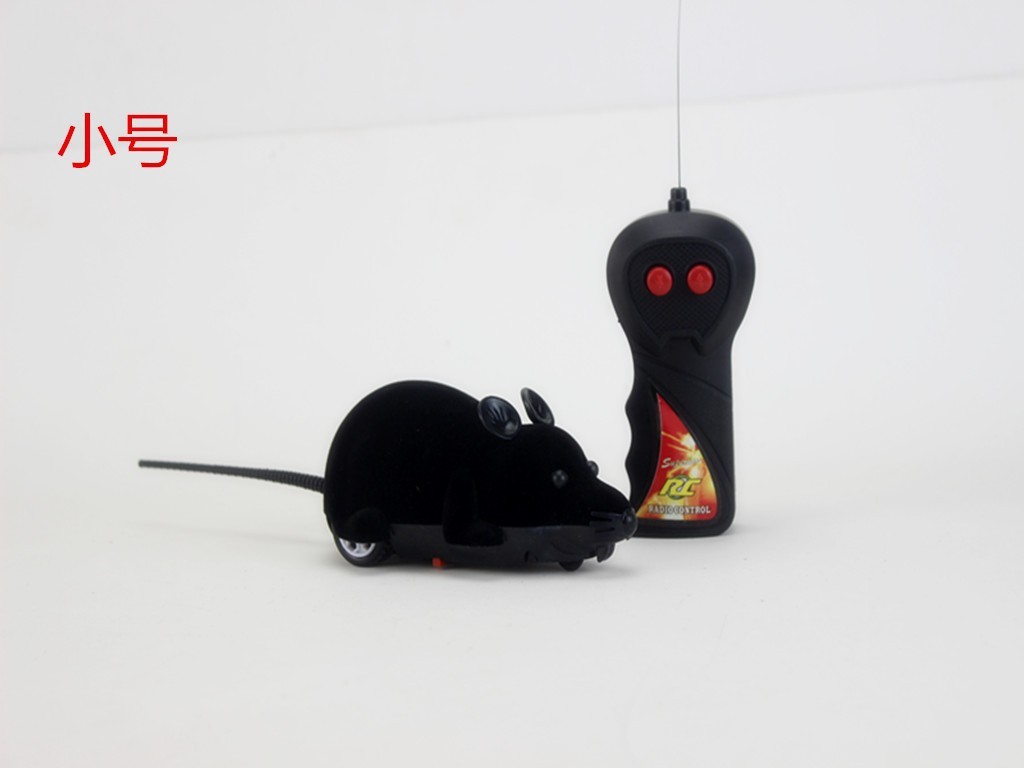 작은 사이즈, 검정색
