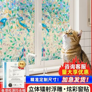 �o����z3d�Ųʲ����NĤ�D��͸�ⲻ͸�����ҿ͏d�̨�b����N��