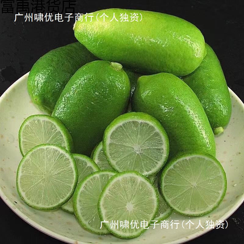 Hainan Green Lemon Seedless Perfume Lemon Fresh Fruit Milk Tea Shop Whole Box Wholesale Factory Wholesale Grade Three Hainan Green Lemon Seedless Perfume Lemon Fresh Fruit Milk Tea Shop Whole Box Wholesale Factory Wholesale Grade Three