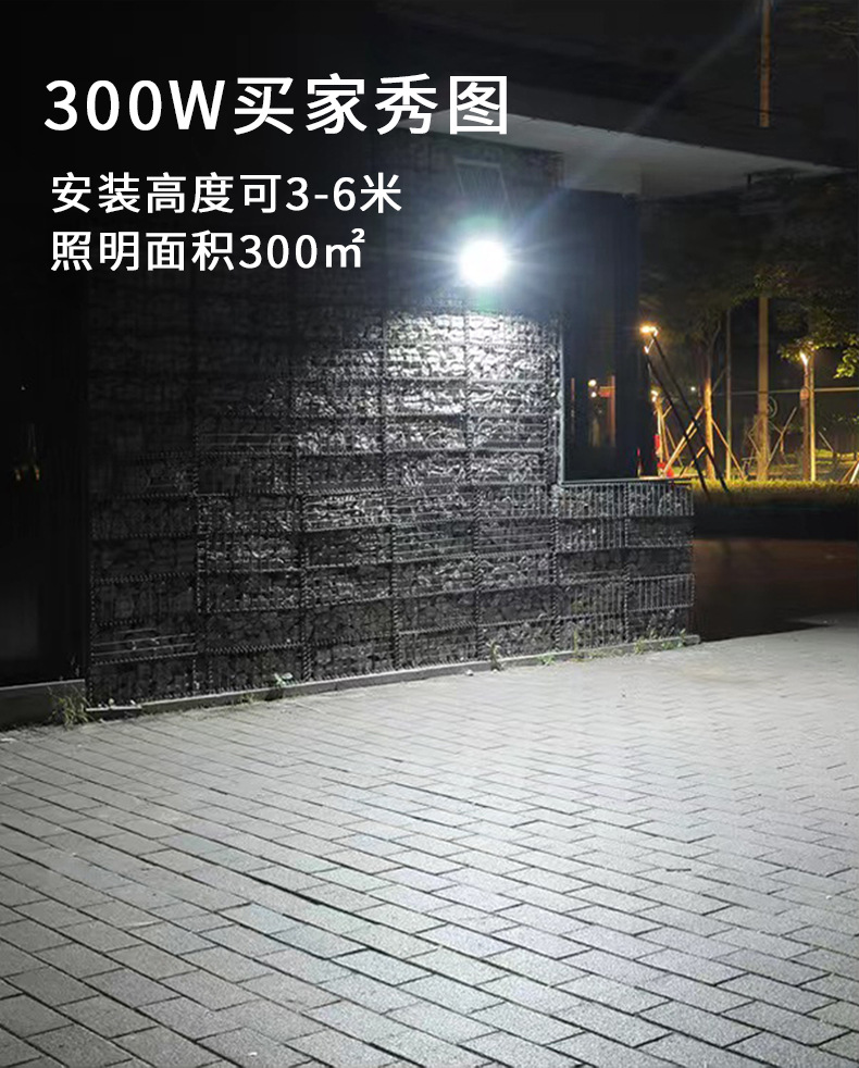 B009-15.jpg
