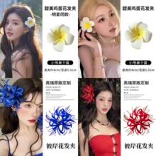 �紺�����l�A�u������߅�A�Շ�����Ů�l�������L����A���^�