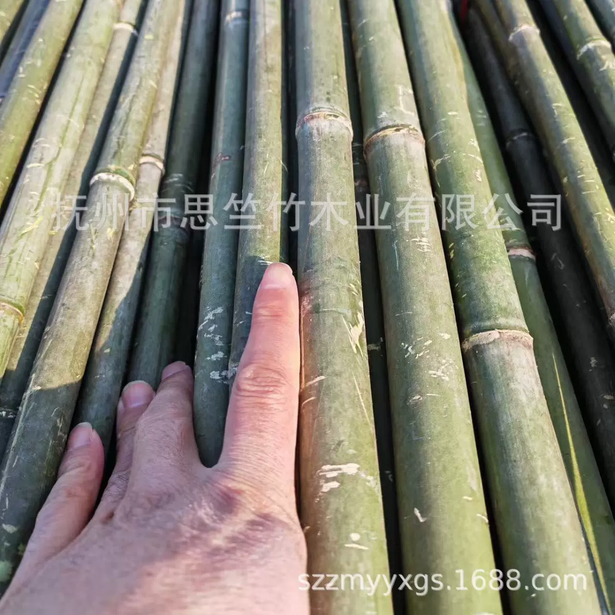 竹竿批发 户外搭架爬藤竿架山药枸杞淮山辣椒搭架竹子 果树支撑杆