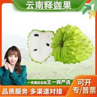 �����x�������ȹ� ���l1/2/3/5��150-450g����֦�������rˮ��