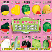 ���l�ļ������＾���ϷN����ϷN�ӹϹ����̨�����r��ˈ@�Ϲ��N