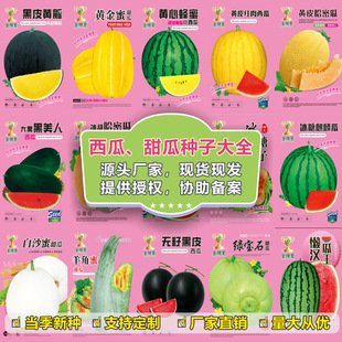 ���l�ļ������＾���ϷN����ϷN�ӹϹ����̨�����r��ˈ@�Ϲ��N