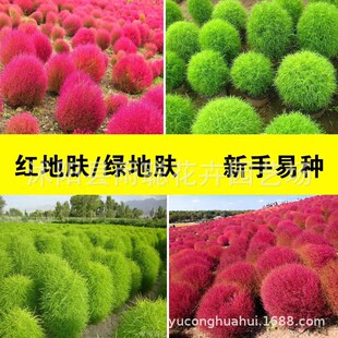 ���ܷN�� ���w ����ֲ�������^�~�p��ͥԺ �G���h�� �̨�׷N