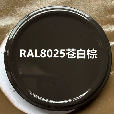 car graffiti black white – Avtomobil boyası - ral8025-pale-brown-350ml-spray-paint