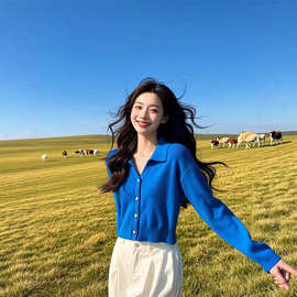 新款法式高级感polo领克莱因蓝色毛衣针织开衫外套上衣女