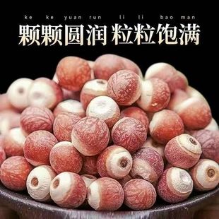 ��Ӣ�@��ș�ļtƤ�͌������u�^�׸�؛�u�^���ؑc�خa���l����ă�