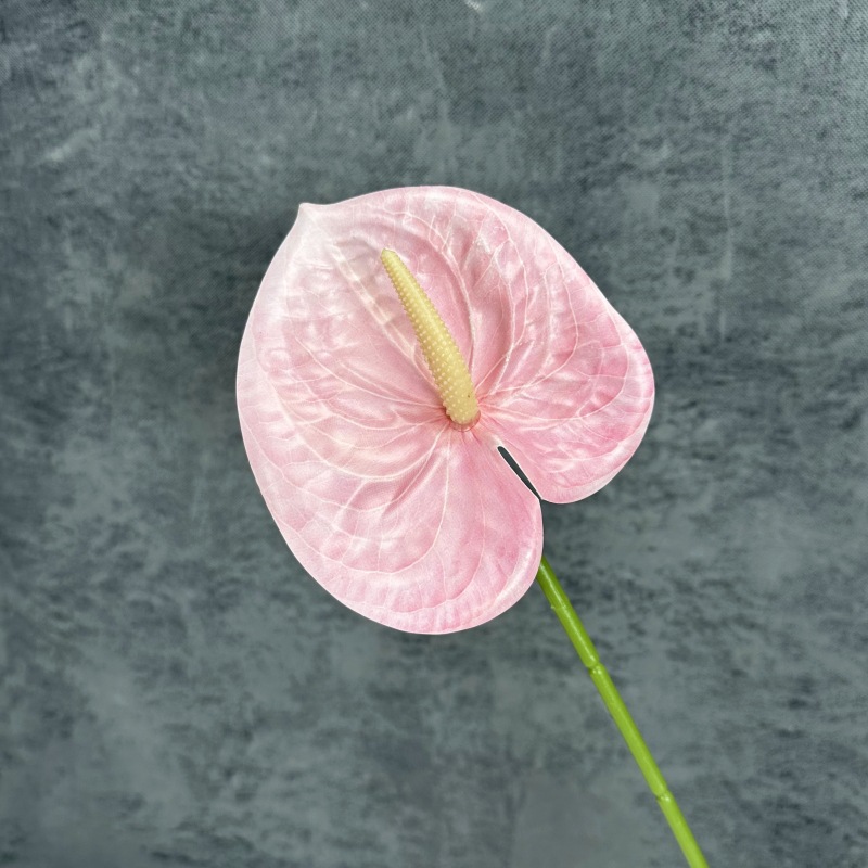 Decoración de Escenarios de Boda con Anturios Simulados, Decoración del Hogar, Accesorios de Fotografía, Adornos de Flores Artificiales en 3D para Venta al por Mayor