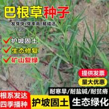 �͸���ţ��ݷN���F�����o�²������زݽO�����o�·N�ӷ�ˮ����ʧ