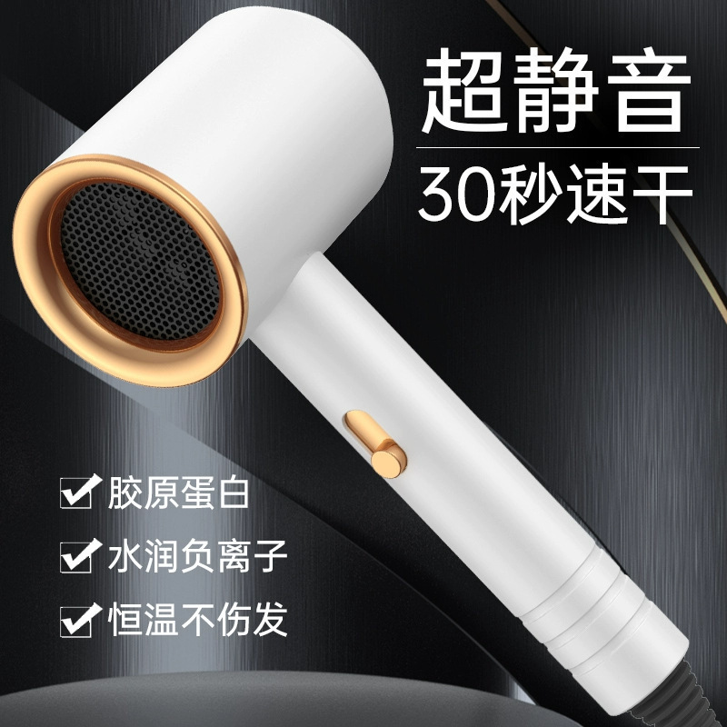 Hair Salon Hair Dryer Home Barber Shop High Power Negative Ion Hair Care Dormitory College Student Hotel Silent Hair Dryer