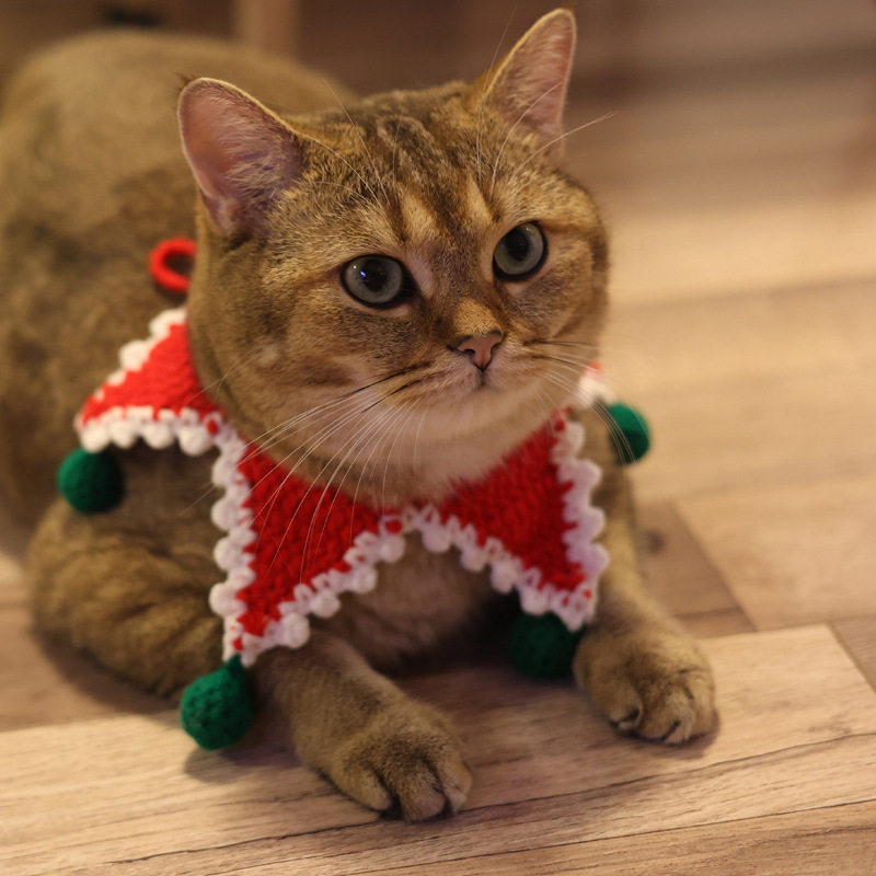 Christmas Pet Collar Variation 3