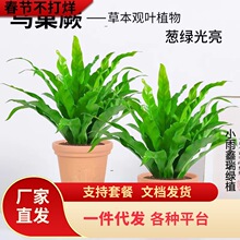 һ�����l�B��ާ����ާ��҃��^�~�Gֲ���ܿ͏d�k��˾��������ֲ��