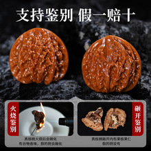 �ղؼ���Ʒ�m���������������ʿĥ�P�{���^�P���ְѼ�Ů���ҹ���