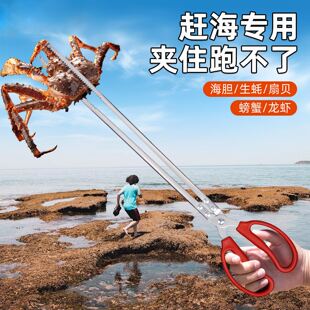 �s���A���S�X�A���X�~�A�s���������q�з�Q���s���������Q�����A