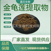 ����ɏ��ȡ��  Hemsleya Root ��ɏ  ѩđ��������
