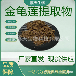 ����ɏ��ȡ��  Hemsleya Root ��ɏ  ѩđ��������