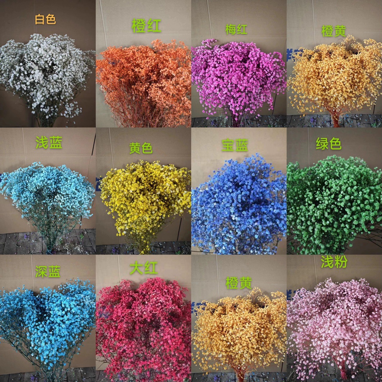 product_picUrl