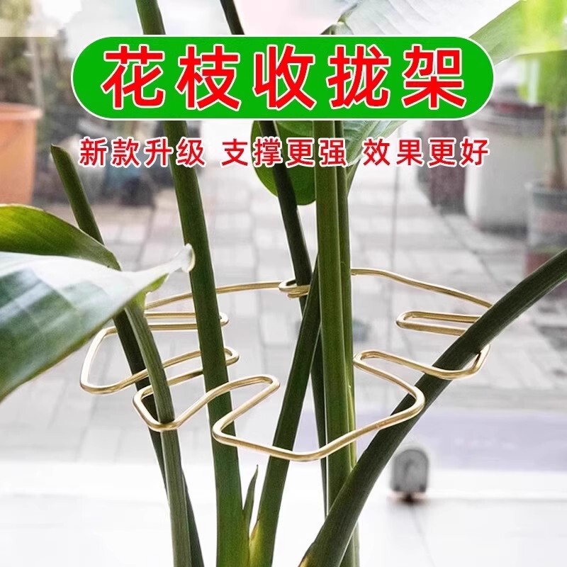 [Plant Shaping Bracket] Monstera Support Rod, Bird of Paradise Anti-Tilting Fixator, Spring Feather Hydroponic Plant Branches