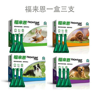 ��������x�΄�؈�乷���w����x�΄� ��������x���錙����xș