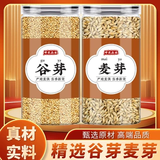 麦芽谷芽中药材正品煮水泡水的功效谷牙生谷芽生麦芽大麦茶新干货