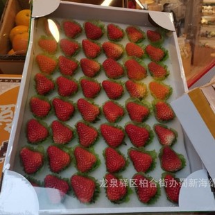 Strawberry Sponge Packaging/Strawberry Buffer Sponge Packaging/Strawberry Loss Prevention Sponge Packaging Strawberry Sponge Lining