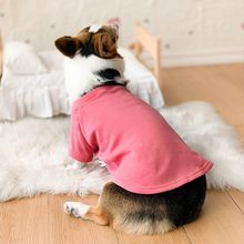 柯基衣服犬狗狗秋冬装可爱防毛秋季冬天小型中型犬宠物色卫衣批发