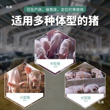 ���P�ĸ�i�ϲ��iʳ��ʳ��ι�ϲ��ӼӺ�䓰�a��ιʳ�۶�λ���i��