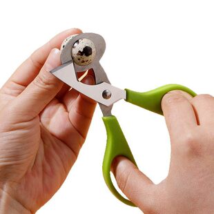 Stainless steel quail egg cutter egg bird egg shell breaker kitchen gadget scissors egg cutter egg shell scissors