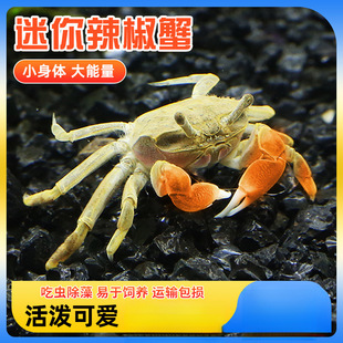 ���l��������з�ɻ��B�з�^�pз����з���x���嵭΢���^з