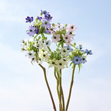 ��֧����޷��滨������Ӱ���ڼҾ�װ�λ�����ƿ����֮��