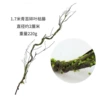 1.7 meters of moss moss leaf withered vine