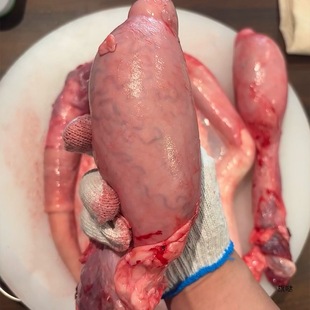 ���rţ�� �����Sţ��һ�ރɵ� ����ţ�ތ�ţ��ţ�����F���Ҝ�����