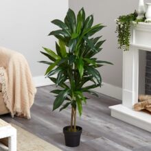 �������ľ�p�U��Ѫ�� 1.8���҃���ؼ٘� �Ҿ�ܛ�b����Gֲ����