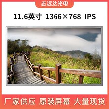 �L�ڬF؛11.6��Һ���� LVDS�@ʾ��1366X768LED��Ļ���l