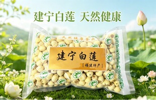 26�긣������ɏ���r�Ұ�ɏ�Ӯa�����lɢ�b��؛1ǧ��
