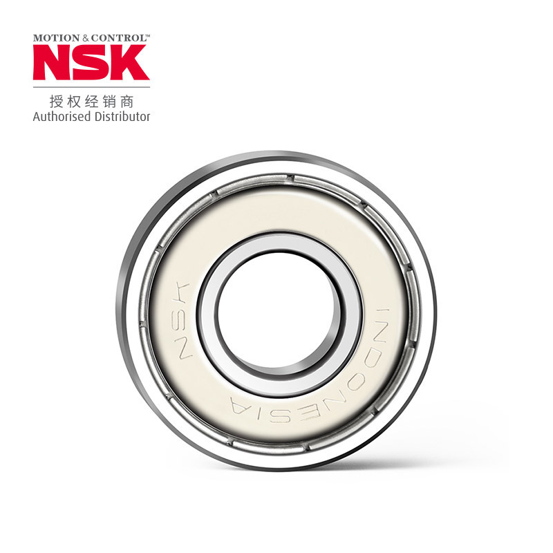 Nsk Bearing Nsk Deep Groove Ball Bearing 6300-6306 Iron Cover Zz