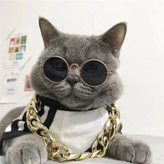 メーカー卸売犬猫ペットメガネ創意ファッション玩具サングラス影楼撮影小道具