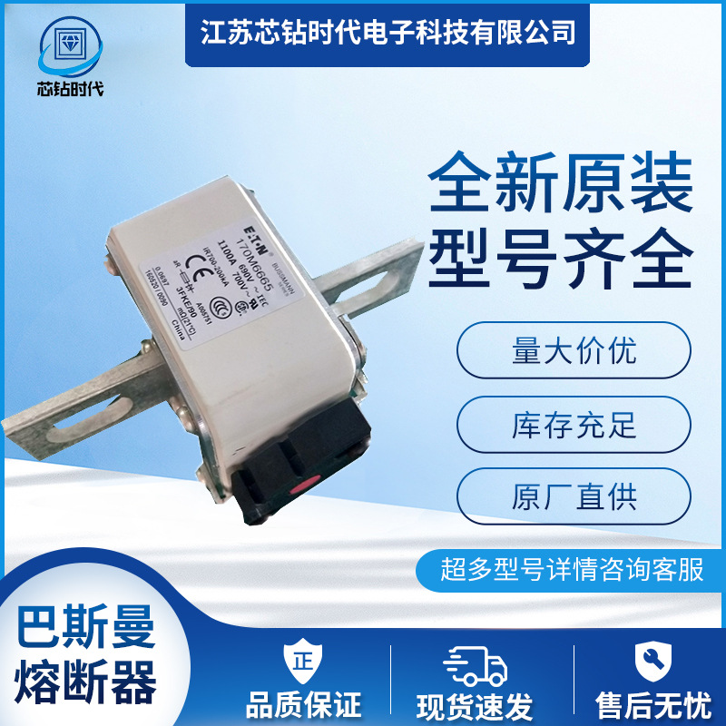 170M6664 170M6665 170M6666 巴斯曼BUSSMANN熔断器保险丝