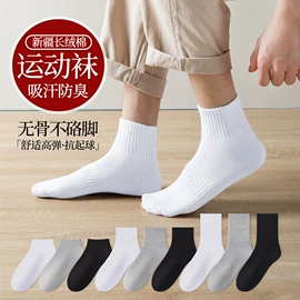 儿童袜;运动休闲棉袜