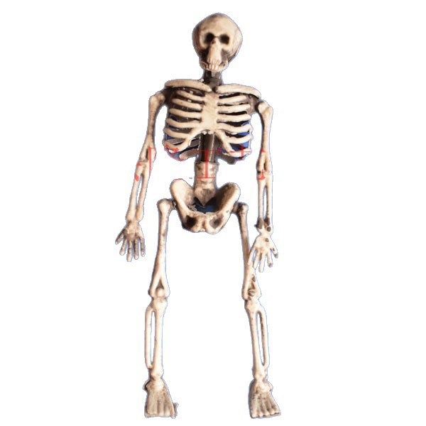 Mini esqueleto 15cm esqueleto pequeño Halloween casa embrujada bar sala secretos oficina de tatuajes decoraciones de escritorio