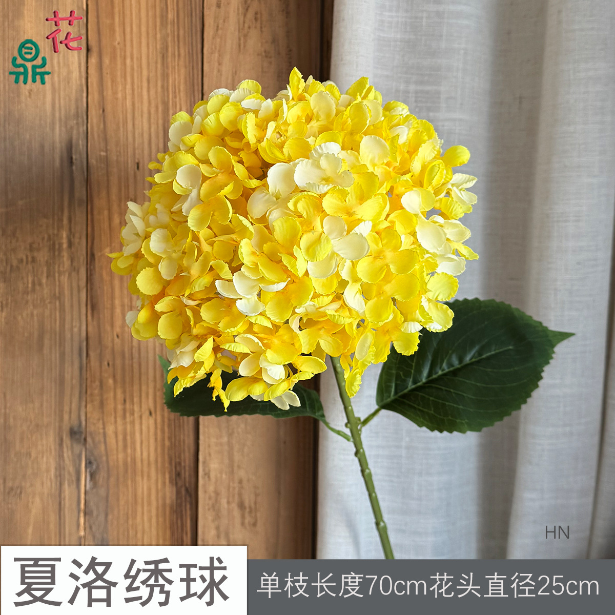 Charlotte Hydrangea HN Vàng